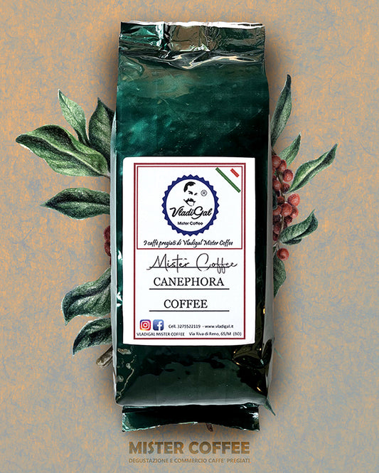 Pack caffe Canephora
