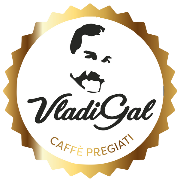 logo Valdi Gal